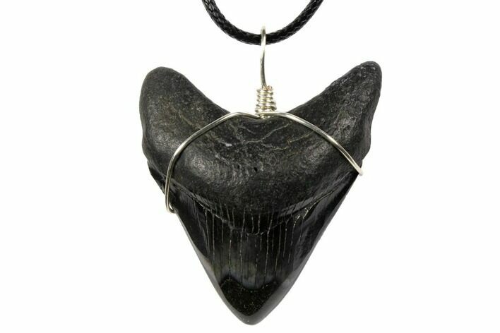 Fossil Megalodon Tooth Necklace #130970